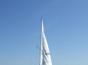 RIMG2635.jpg