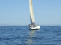 RIMG2658.jpg