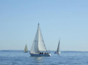 RIMG2659.jpg