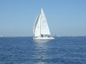 RIMG2662.jpg