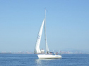RIMG2663.jpg