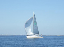 RIMG2664.jpg