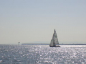 RIMG2673.jpg