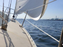 RIMG2675.jpg
