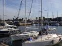 RIMG2679.jpg