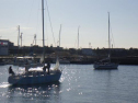 RIMG2684.jpg