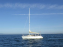 RIMG2693.jpg