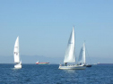 RIMG2699.jpg