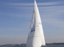 RIMG2706.jpg
