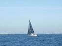 RIMG2718.jpg