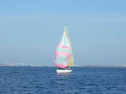 RIMG2725.jpg