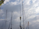 RIMG2367.jpg