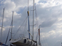 RIMG2368.jpg