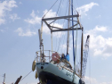 RIMG2418.jpg
