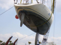 RIMG2422.jpg