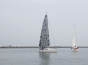 RIMG3658.JPG