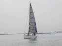 RIMG3666.JPG