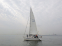 RIMG3672.JPG