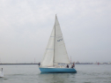 RIMG3677.JPG