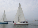 RIMG3678.JPG