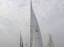RIMG3684.JPG
