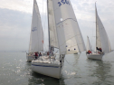 RIMG3686.JPG