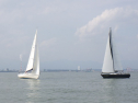 RIMG3702.JPG