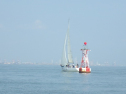 RIMG3703.JPG