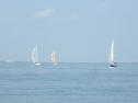 RIMG3704.JPG