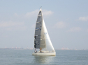 RIMG3708.JPG