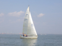 RIMG3711.JPG