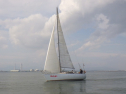 RIMG3716.JPG