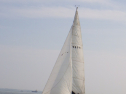RIMG3720.JPG