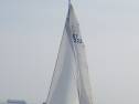 RIMG3721.JPG