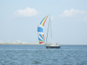 RIMG3729.JPG