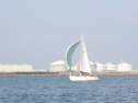RIMG3730.JPG