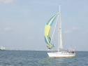 RIMG3731.JPG