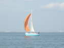 RIMG3732.JPG
