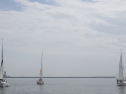 RIMG3593.JPG