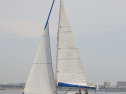 RIMG3599.JPG