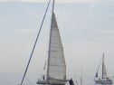 RIMG3614.JPG