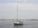 RIMG3645.JPG