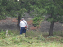 RIMG3442.JPG