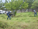 RIMG3446.JPG