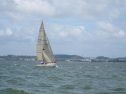 IMG_0466.jpg