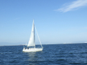 RIMG3743.JPG