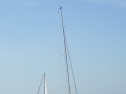 RIMG3746.JPG