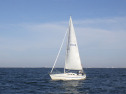 RIMG3749.JPG