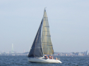 RIMG3754.JPG