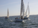 RIMG3766.JPG